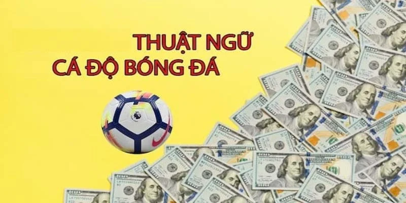 Thuật Ngữ Cá Độ Bóng Đá - Bí Kíp Giải Mã Cho Người Mới
