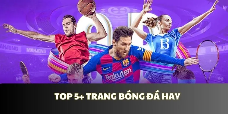 Top 5+ Trang Cá Độ Bóng Đá Uy Tín 2024 Cược Thủ Nên Thử Qua