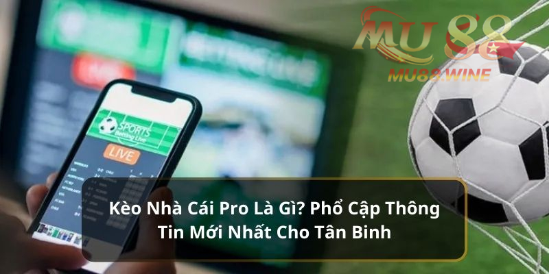 Kèo Nhà Cái Pro Là Gì? Phổ Cập Thông Tin Mới Cho Tân Binh