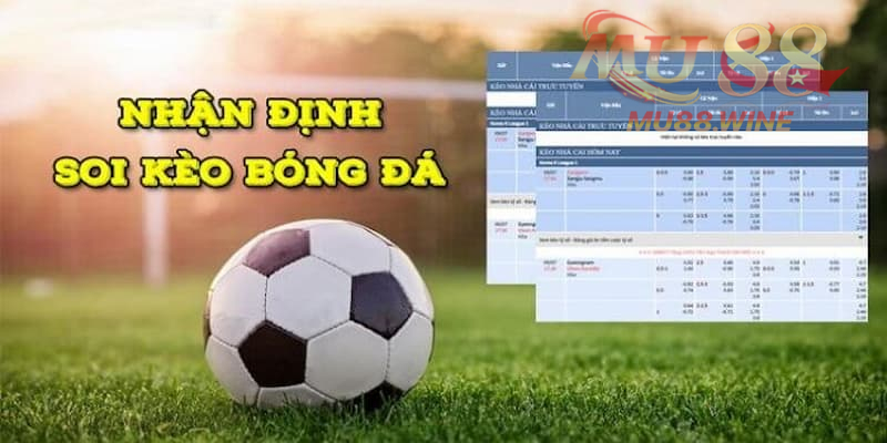 Nhận Định Soi Kèo Nhà Cái Tại Mu88 Chính Xác Nhất 2024